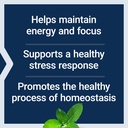 life-extension-adrenal-energy-formula-he-4.jpg