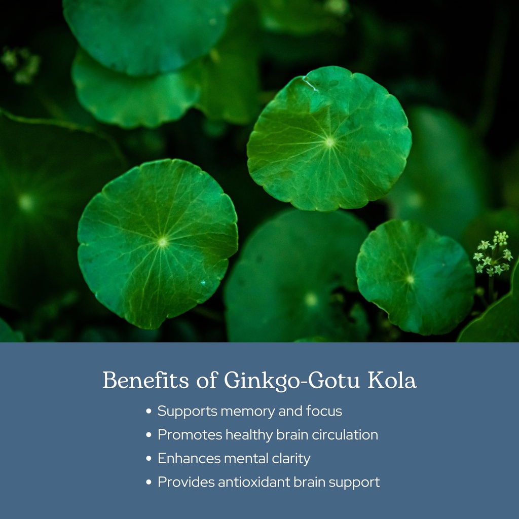 eclectic-herb-ginkgo-gotu-kola-capsules--4.jpg