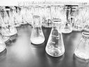 c60-organic-black-seed-oil-500ml-16-9-fl-4.jpg
