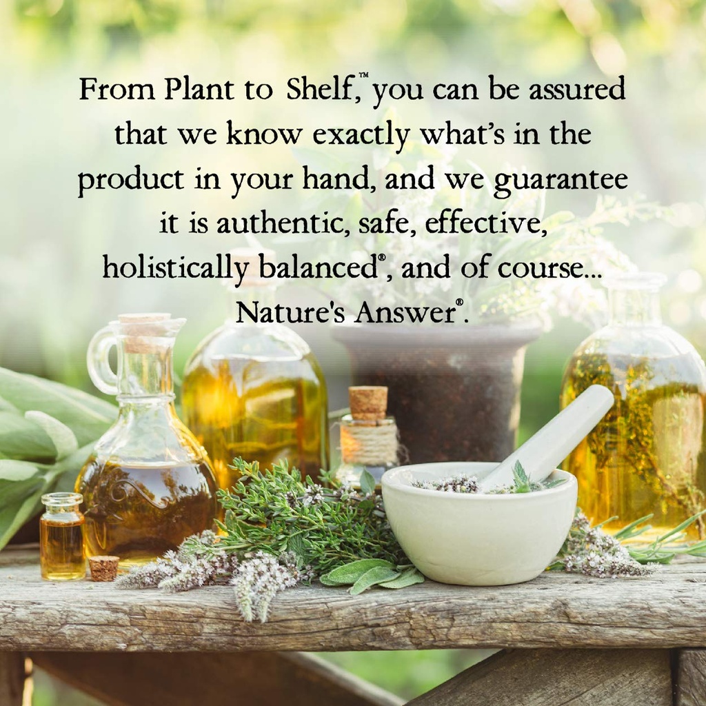 nature-s-answer-echinacea-supports-a-hea-6.jpg