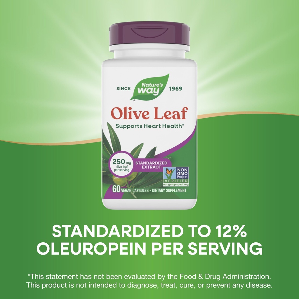 nature-s-way-olive-leaf-standardized-ext-4.jpg