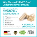 purmeo-4-pack-magenvital-pylopass-h-pylo-3.jpg