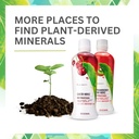 youngevity-plant-derived-liquid-minerals-4.jpg
