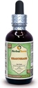 Heartsease (Viola Tricolor) Glycerite, Organic Dried Leaves and Flowers Alcohol-Free Liquid Extract (Brand Name: HerbalTerra, Proudly Made in USA) 2 fl.oz (60 ml)