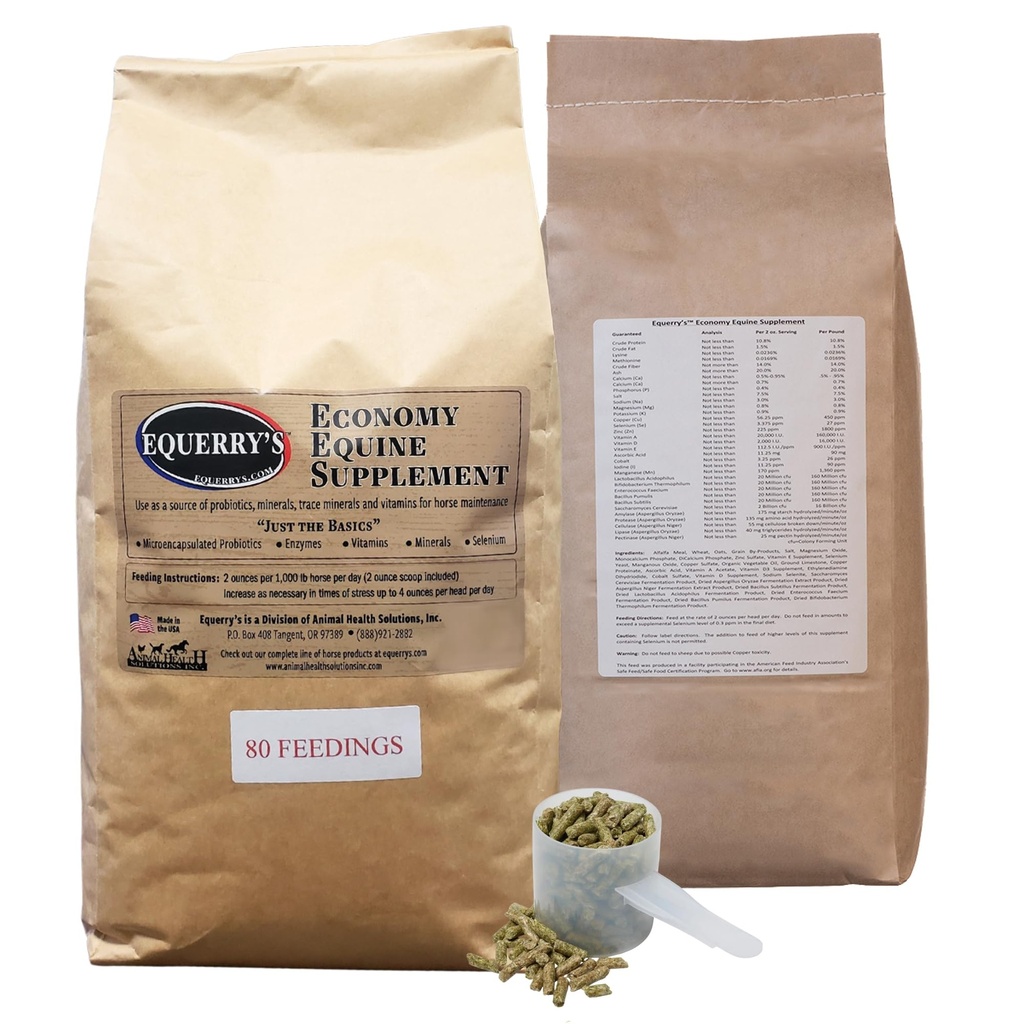 Equerry's Economy Equine Supplement - Horse Probiotics | Supplement for Horses | Horse Vitamins and Minerals Supplement with Enzymes and Selenium, 10lb