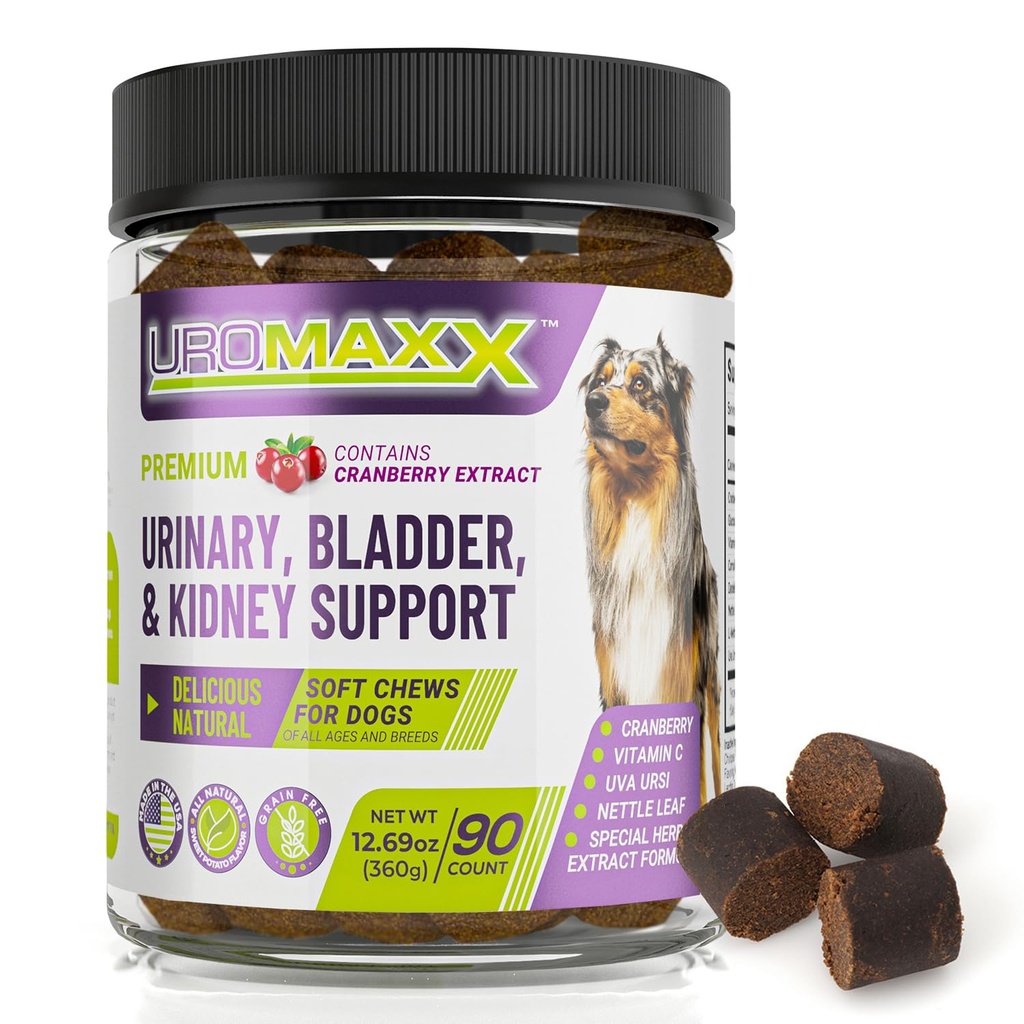 Uromaxx Urinary Tract Infection Treatment for Dogs, Bladder & Kidney Support Soft Chews, All Ages & Breeds, Non GMO, Made in the USA, 90 Count, 1 Pack