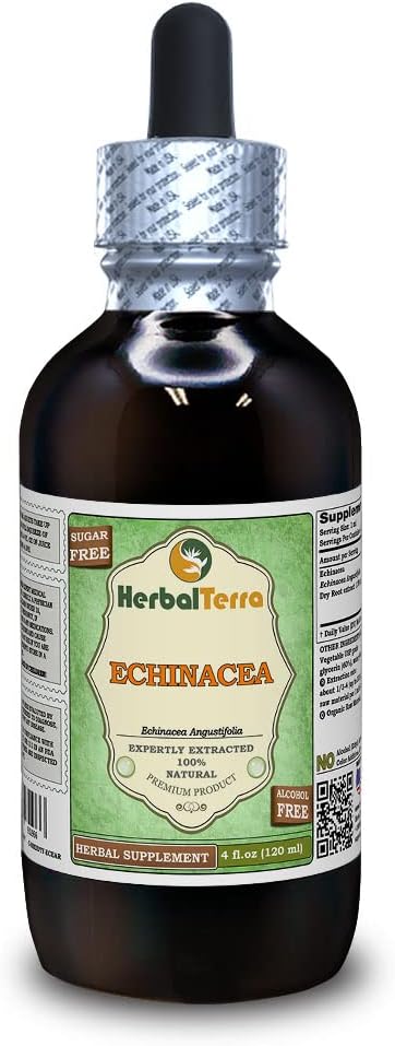 Echinacea (Echinacea Angustifolia) Glycerite, Organic Dried Root Alcohol-Free Liquid Extract (Brand Name: HerbalTerra, Proudly Made in USA) 4 fl.oz (120 ml)