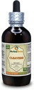 Cleavers (Galium Aparine) Tincture, Organic Dried Above-Ground Parts Liquid Extract (Brand Name: HerbalTerra, Proudly Made in USA) 4 fl.oz (120 ml)