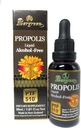 Evergreen Propolis Liquid Alcohol-Free Tincture 30ml PTF1170 (Contains 1170 Propolis Flavonoid) Made in New Zealand