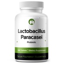 Lactobacillus Paracasei Probiotic 240 Tablets (4 Month Supply) - Researched Strain - 3 Billion CFU - Digestive Health & Wellness Support - GMP Certified (240, Lactobacillus Paracasei)