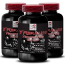 Energy Recovery Booster - TRIBULUS TERRESTRIS EXTRACT - Dynamic Stamina, Active Strength, Physical Power, Strength Support, Energy Stamina Enhancement, Strength Recharge 3 Bottles 270 Tablets