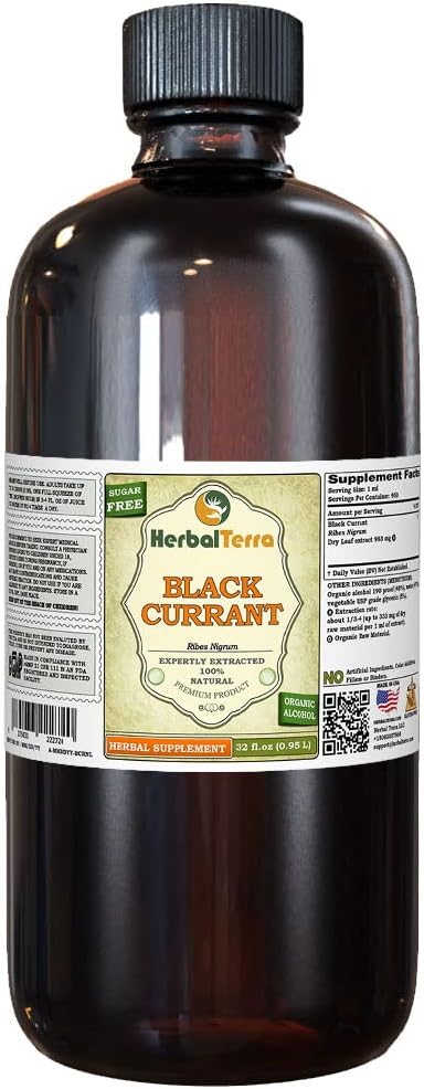 Black Currant (Ribes nigrum) Tincture, Dried Leaves Liquid Extract (Brand Name: HerbalTerra, Proudly Made in USA) 32 fl.oz (0.95 l)