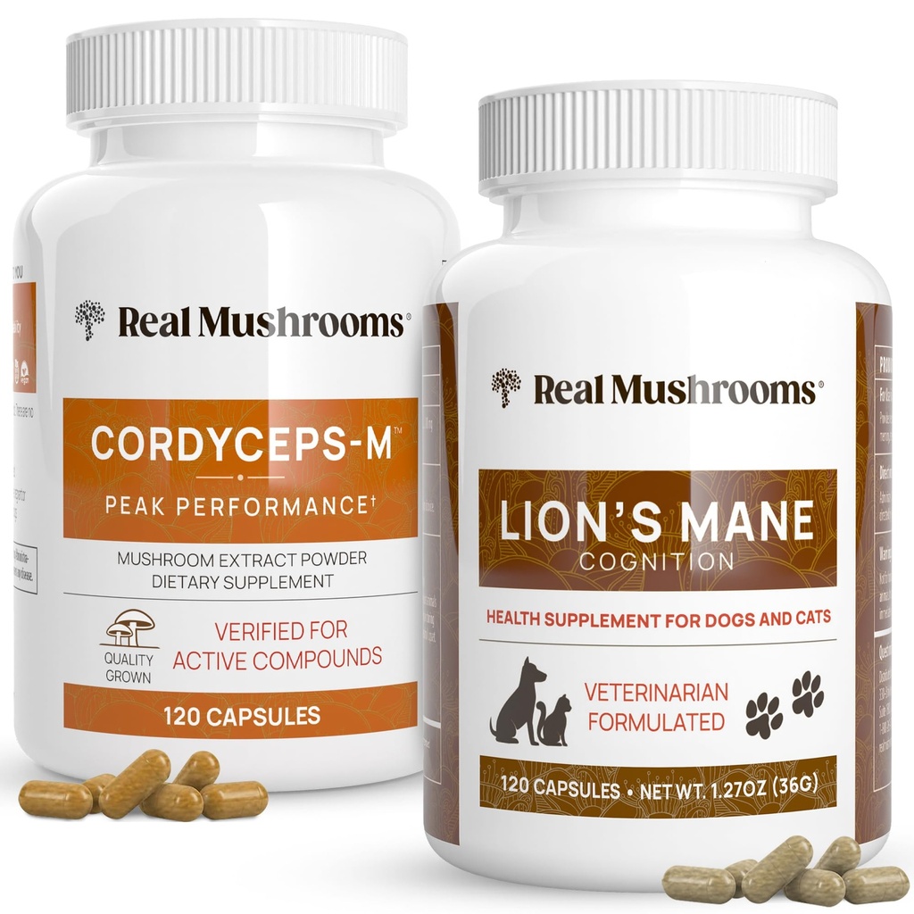 Real Mushrooms Cordyceps for Humans (120ct) and Lions Mane for Pets (120ct) - Bundle for Energy, Vitality & Cognition - Vegan, Non-GMO, Gluten-Free, Grain-Free Mushroom Extract Supplements