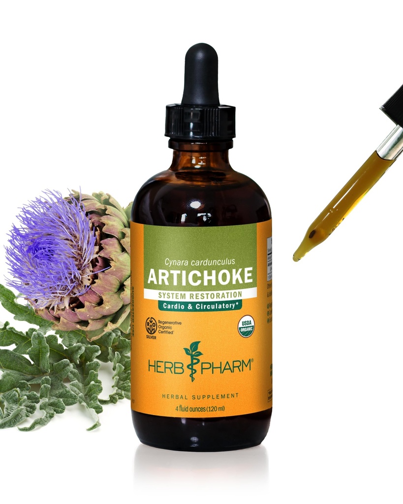 Herb Pharm Artichoke Liquid Herbal Extract: Organic Artichoke Leaf for Cardiovascular, Circulatory, & Digestive Support, Liver Support | Gluten-Free, Vegan, Non-GMO, Up to ~3 Month Supply, 4 oz*