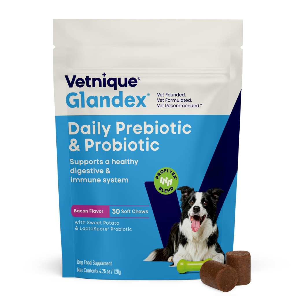 Vetnique Glandex Dog Probiotic Chews, Daily Probiotics for Dogs 5 Strains, Prebiotics & Digestive Enzymes for Gut & Immune Health, Vet Formulated for Occasional Diarrhea (30ct Chews, Probiotic Chews)