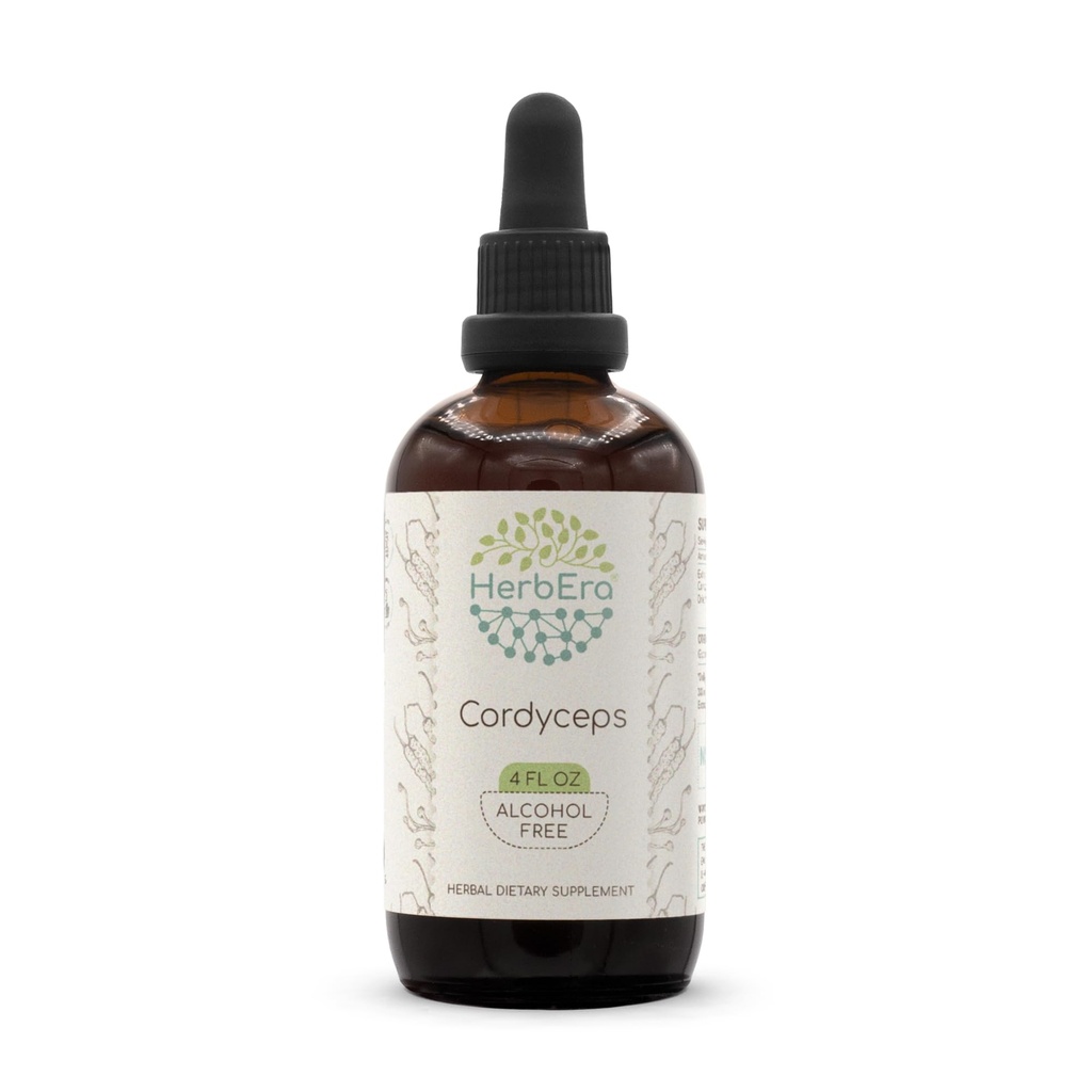 Cordyceps B120 Alcohol-Free Herbal Extract Tincture, Concentrated Liquid Drops Natural Cordyceps Militaris Dried Mushroom (4 fl oz)
