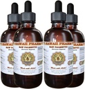 Saw Palmetto Liquid Extract, Organic Saw Palmetto (Serenoa Repens) Tincture, Herbal Supplement, Hawaii Pharm, Made in USA, 4x4 fl.oz