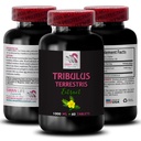 Stamina Power - TRIBULUS TERRESTRIS EXTRACTS - Energy for Activity, Energy Support Formula, Active Energy Support, Plant-Based Energy Boost, Activity Power, Active Workout Boost 1 Bottle 60 Tablets