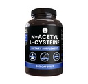 PURE ORIGINAL INGREDIENTS N-Acetyl L-Cysteine (365 Capsules) No Magnesium Or Rice Fillers, Always Pure, Lab Verified