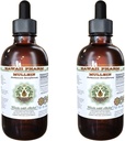 Mullein Alcohol-Free Liquid Extract, Organic Mullein (Verbascum densiflorum) Dried Flower Glycerite Natural Herbal Supplement, Hawaii Pharm, USA 2x2 oz
