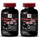 Physical Energy Support - TRIBULUS TERRESTRIS EXTRACT - Muscle Strength Booster, Active Power Enhancement, Dynamic Workout Support, Stamina Boost, Energy Flow Formula, Strength 2 Bottles 180 Tablets