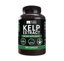Pure Original Ingredients Kelp Extract (365 Capsules) No Magnesium Or Rice Fillers, Always Pure, Lab Verified