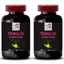 Tribulus Terrestris organic - TRIBULUS TERRESTRIS EXTRACT - Pure Tribulus extract, Tribulus muscle support, Tribulus Terrestris supplement, Tribulus extract benefits, Standardized Tribulus 2B 120C