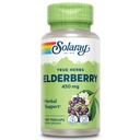 SOLARAY Elderberry Supplement Capsules - 450mg Sambucus Elderberry Capsules, Support for General Wellbeing for Adults, with Flavonoids & Phenolic Compounds, GMO Free - 100 Ct Veg Caps