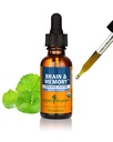 Herb Pharm Brain & Memory: Formula with Ginkgo Biloba Organic, Fast Absorption for Mental Focus, Nootropic Vegan Brain Supplement | Non-GMO Ginkgo Supplement, Gluten-Free, Up to 3 Week Supply, 1 oz*