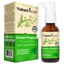 NaturaNectar - Green Propolis Throat Spray - Unique, Soothing Throat Care Relief with Brazilian Bee Propolis - Natural and Non-Alcoholic Throat Care Formula from Sustainable Beekeeping (1-Pack, 30mL)