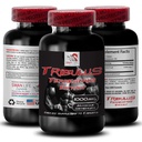 Stamina Support Formula - TRIBULUS TERRESTRIS EXTRACT - Power Recharge, Power Support Blend, Physical Boost, Plant-Powered Energy, Body Support Formula, Strength and Power, Active Strength 1Bot 90Tab