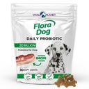 Vital Planet - Flora Dog Probiotics, Dog Chews Supplement with 20 Billion Cultures and 11 Strains, Immune and Digestive Support Chewable Probiotics for Dogs, 30 Natural Bacon Flavored Soft Chews