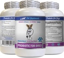 Digestive Defense for Dogs - PROBIOTICS for Dogs - Healthy Gut - Stop Gas Diarrhea and Bad Breath - Digestive Boost - Dog probiotics chewables Organic - 1 Bottle (60 Treats)