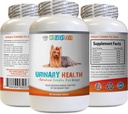Dog Urinary Supplement - Dog Urinary Health Formula - Helps with Incontinence and Bladder Issues - Immune Boost - Corn Silk for Dogs - 1 Bottle (90 Treats)