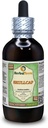 Skullcap (Scutellaria Lateriflora) Glycerite, Organic Dried Herb Alcohol-Free Liquid Extract (Brand Name: HerbalTerra, Proudly Made in USA) 4 fl.oz (120 ml)