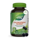 Nature's Way Chlorofresh Chlorophyll Gummies, Supports Healthy Skin and Body Detox*, Internal Deodorant*, Orchard Fruit Flavored, 60 Gummies